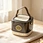 Handbag Style Portable Audio